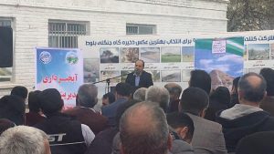 جشنواره بلوط سرسختی وشازند