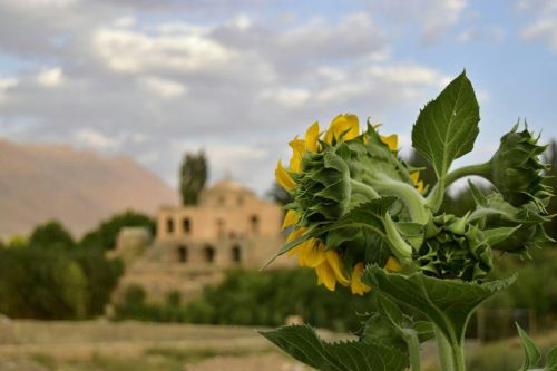 حمام حاج ربیع
