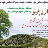 دومین جشنواره بلوط سرسختی