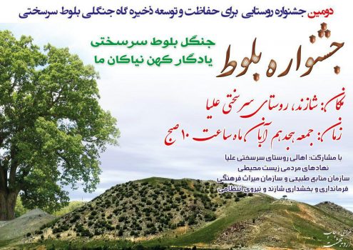 دومین جشنواره بلوط سرسختی