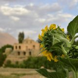 حمام حاج ربیع