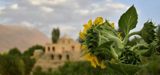 حمام حاج ربیع